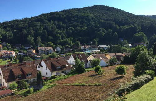 Ferienwohnungen Tauscher - Foto 3