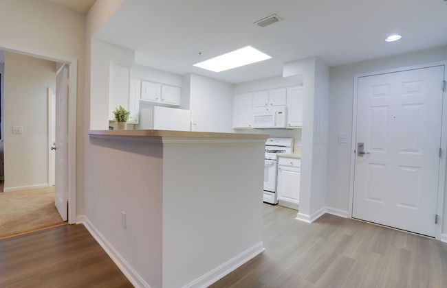 Amazing Apt in Ballston With Gym - Foto 11