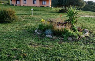 agriturismo gli olivastri appartamento raggio di sole , con piscina e vista mare ,climatizzatore,wifi - Photo 26