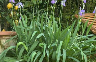 Elegante bilocale / Elegant Double Room - Foto 8