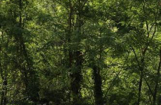 I Giardini di Marcello - Villa 1 - Foto 8