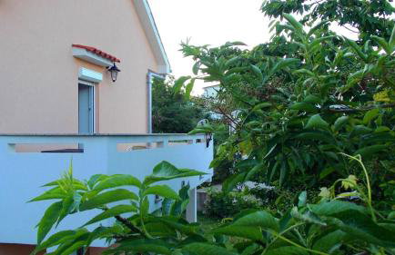 Apartmani Marija - Photo 13