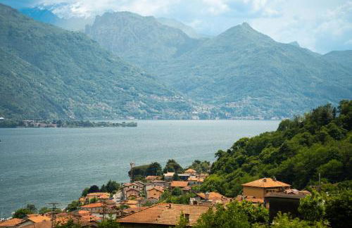 Piccola Orchidea - Photo 29