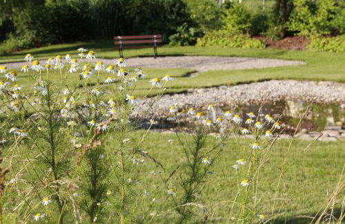 U Aptekarzy - Foto 31