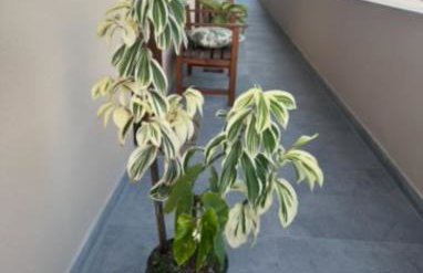 Residencial Lara 3 - Foto 10