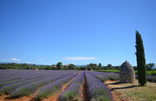 La maison d'Anthonie, Roussillon - Foto 32