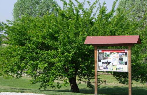 Agriturismo L'Acero Rosso - Foto 56