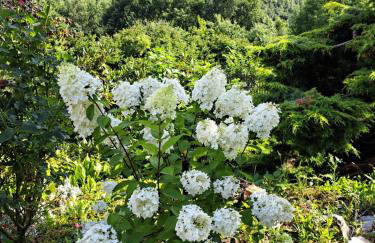 Brzozowy Zakątek - Foto 34