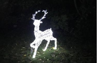 Chapelhill - Foto 26