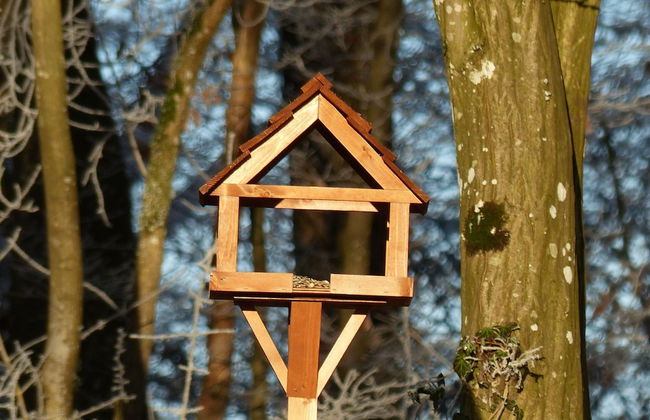 New House on the Edge of a Large Forest, Large Garden,very Quiet, Beautiful Area - Foto 25