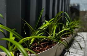 Kitnets Lofts no Kobrasol perto de Florianópolis - Foto 13