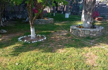 Sofia's Garden - Photo 5