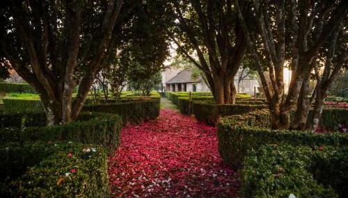 Solar de Vilar Seco - Foto 2, Garden