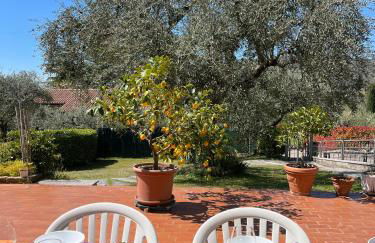 Residence Gli Ulivi - Foto 6