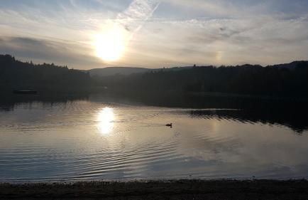 Mazamet : Résidence du Musée centre ville. - Photo 6