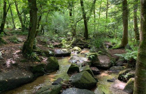 Cart Shed Cottage - Foto 36