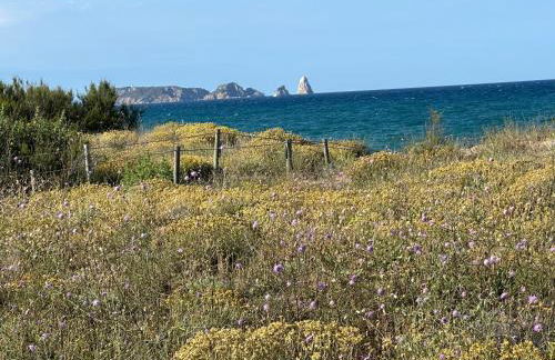 Pals primera Linea de Mar - Foto 32