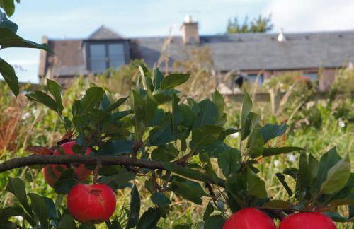 Cocklekitty Cottage - Foto 24