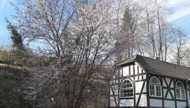 Der perfekte Ausgangspunkt - Foto 4