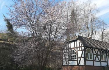 Der perfekte Ausgangspunkt - Foto 4