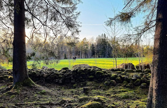 8 Person Holiday Home in Moheda-by Traum - Foto 22