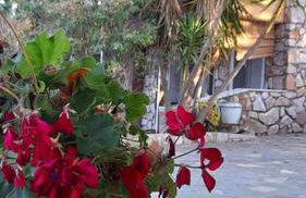 Villa Dimitrios(2 independent apartments 200sq m) - Foto 50