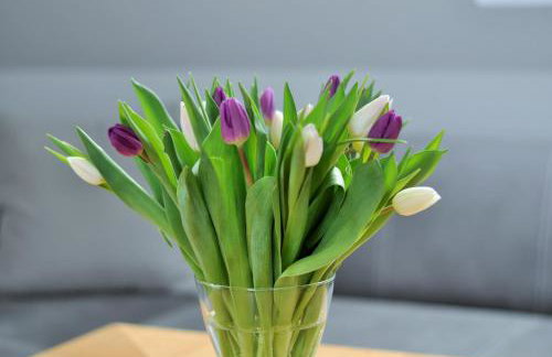 Apartament Rewa - Foto 26