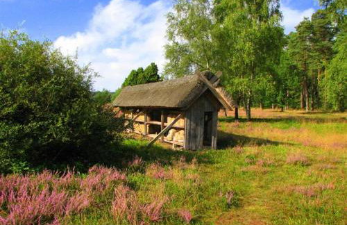 Haus Petersen - Foto 36