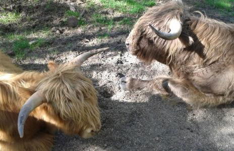 Ferienwohnung GABI - Foto 60