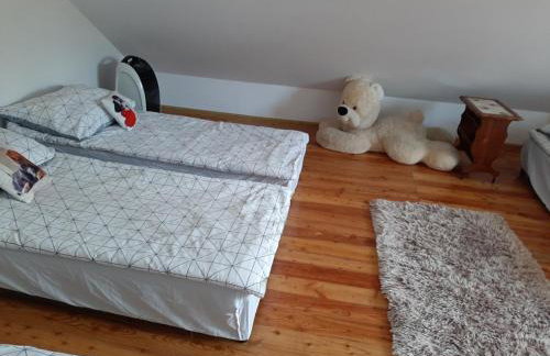 Agroturystyka Siedlisko - Foto 15