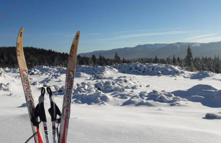 Apartament Nina - Foto 60