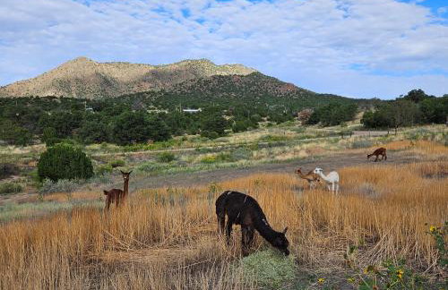 Mountain Farm Stay, Alpacas and Views, Royal Gorge 15min - Foto 55