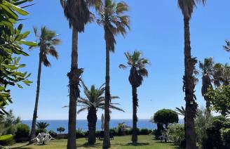 "Sabbinirica" - Photo 5