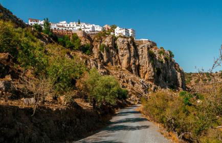 Vine Ridge Studio and Apartment - Foto 14