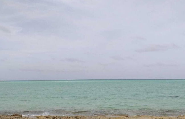 Alvira's Place - Foto 41