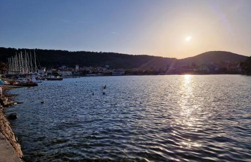 Apartment Opaćac Veli Iž - Foto 1