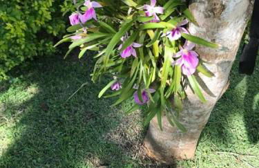 Sítio por do Sol - Pedra Azul - ES - Photo 74