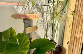 SETE EVASION Jardin, Parking privé gratuit, Climatisé, Wi-Fi, à 5mn plage, tout Confort - Foto 16