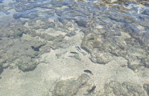 Privê Recanto da Enseada - Praia de Serrambi-PE - Photo 31