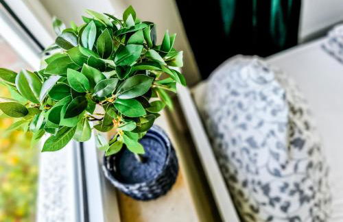 flat4short Dormagen - Foto 10