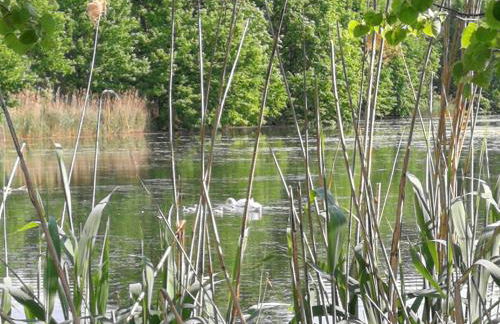 Doberschützer Hof - Foto 42