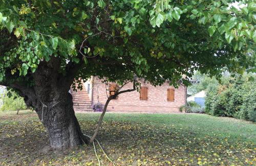 Agriturismo Serena -Petritoli- - Foto 33