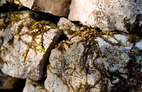 La Vayssade - Grand Gîte de charme - 14 pers - Piscine & Jacuzzi - Photo 79