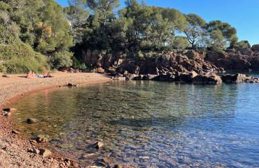 La Cigalière - Foto 4