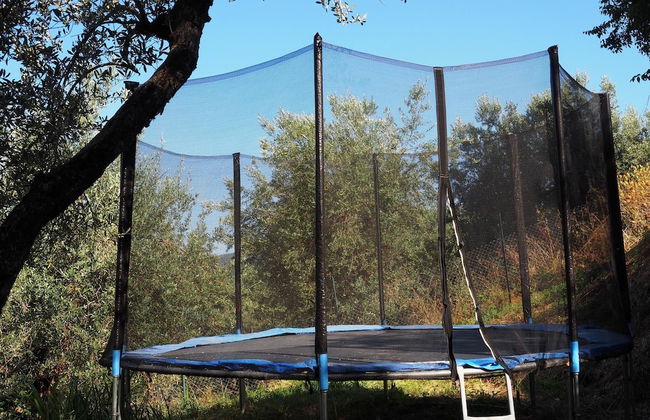 Domus Umbra - Photo 13