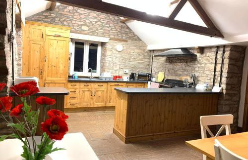 Llwyn Llwyd Cottage - Photo 6