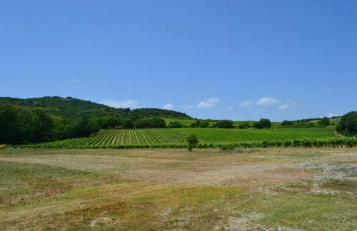 Agriturismo Barcavecchia - Foto 32