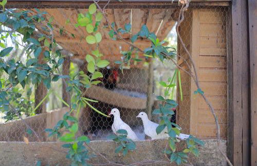 Agriturismo Villa Guarnaschelli - Foto 40