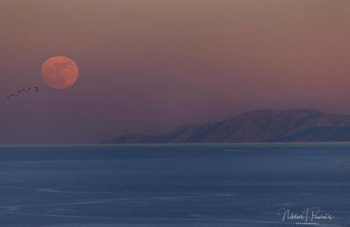 Captain's Villa - Foto 6