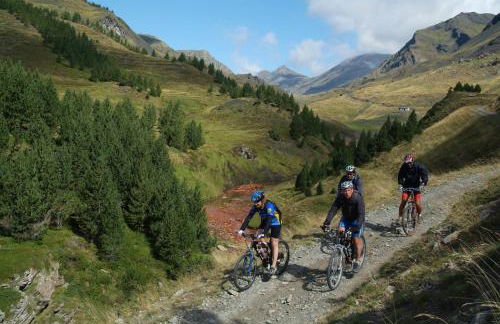 El Refugio de Aran Vielha Aparthotel - Foto 100